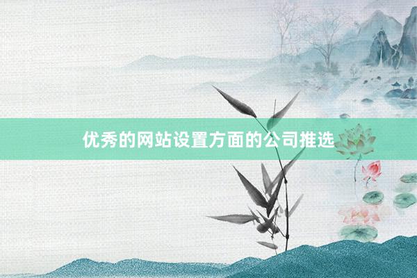 优秀的网站设置方面的公司推选
