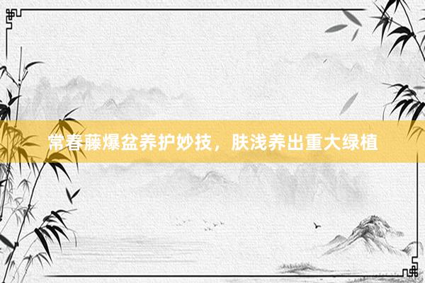 常春藤爆盆养护妙技，肤浅养出重大绿植