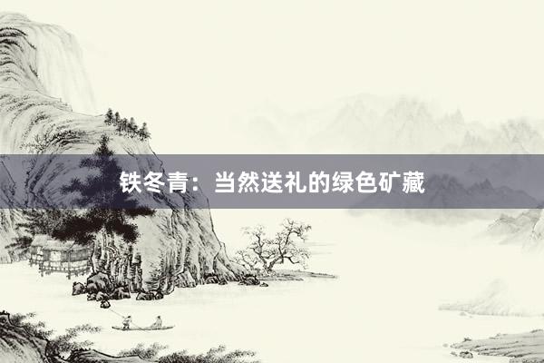 铁冬青：当然送礼的绿色矿藏