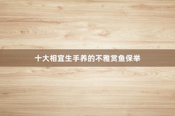 十大相宜生手养的不雅赏鱼保举