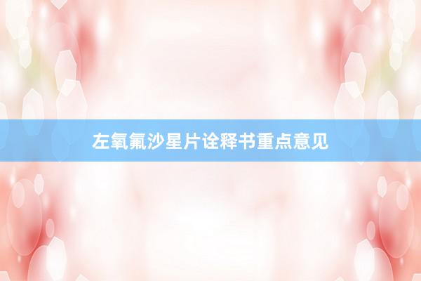 左氧氟沙星片诠释书重点意见
