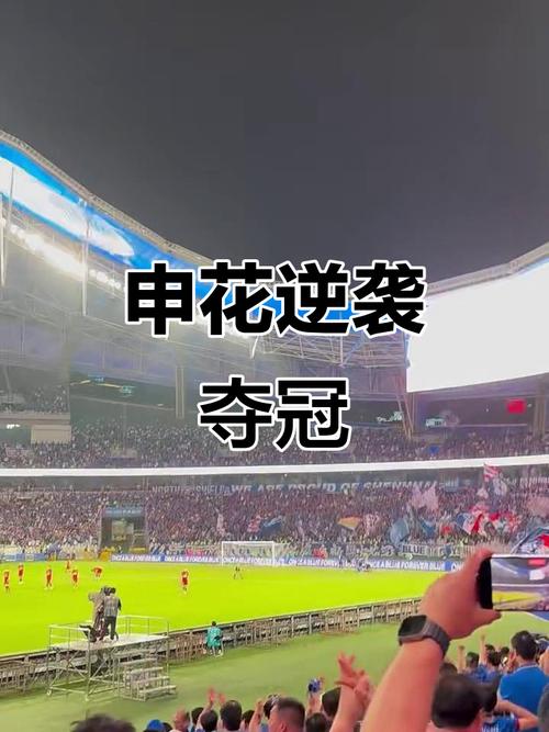 从年初伤到年末 申花跟海港伤病不断 但依然拿到老二跟中超冠军